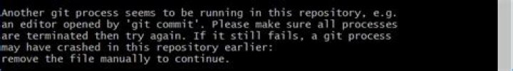 Another git process seems to be running in this repository