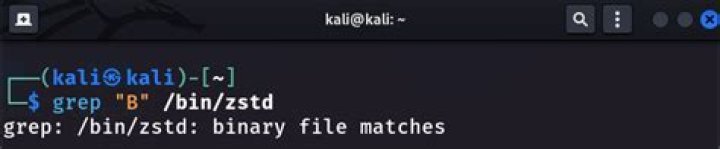 Can grep show only words that match search pattern?