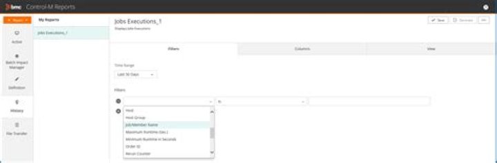 Can I add a variable date in a ControlM job that will be used in a script?