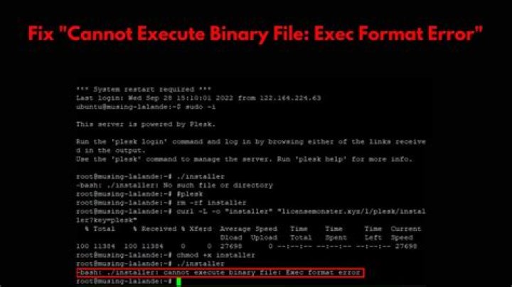 cannot execute binary file: Exec format error But i was able to before update