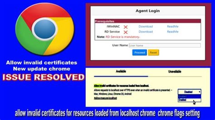 chrome : Allow invalid certificates for resources loaded from localhost