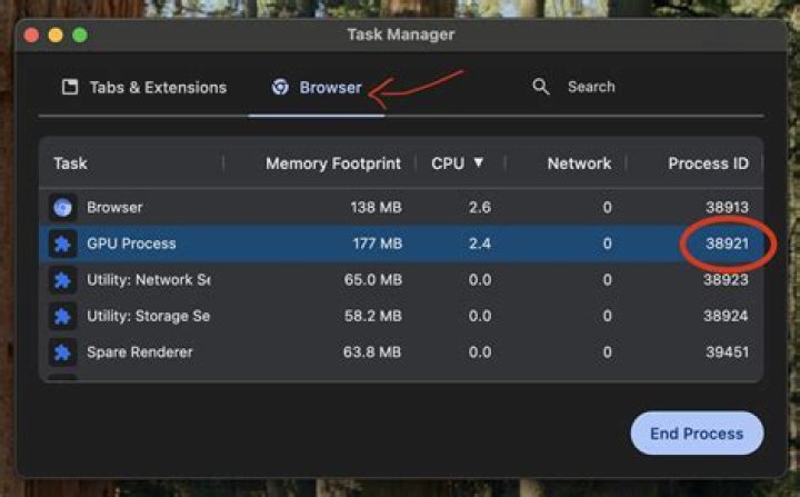 Chrome Task Manager - GPU Process - End process