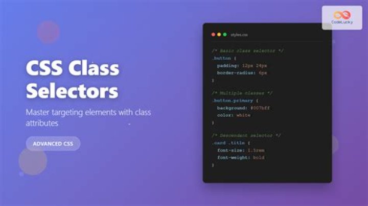 CSS 