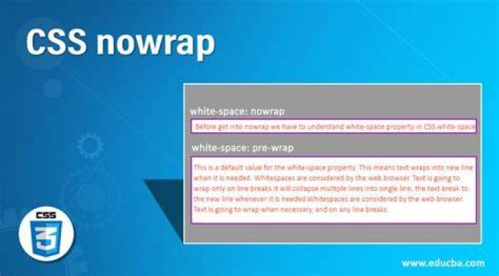 CSS NoWrap on Text [duplicate]
