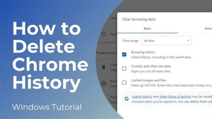 Delete translate.google.com from Chrome History