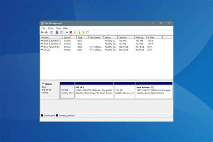 Disk Manager
