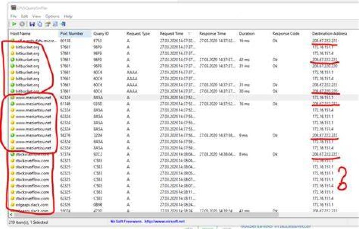 Duplicated DNS lookups