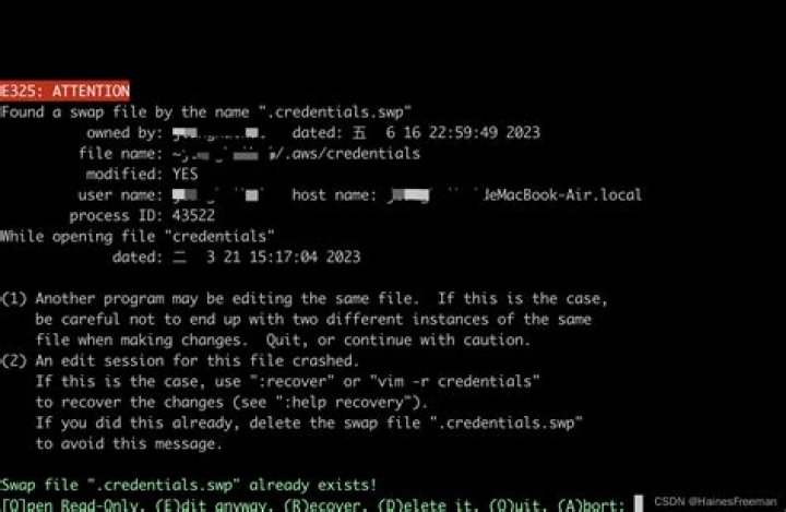 Found a swap file by the name