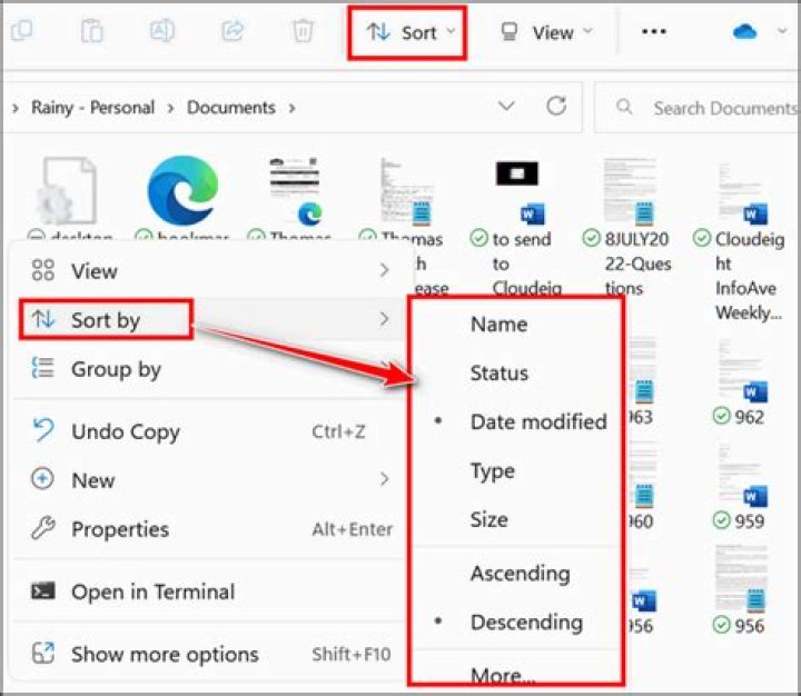 how can sort my files in windows with custom filter?