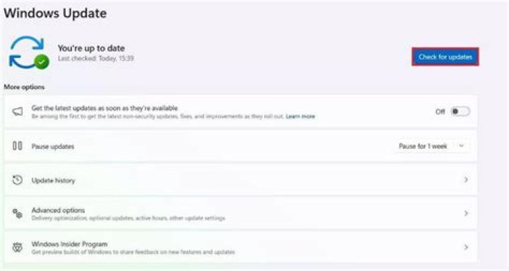 How do I force Windows to check for updates?