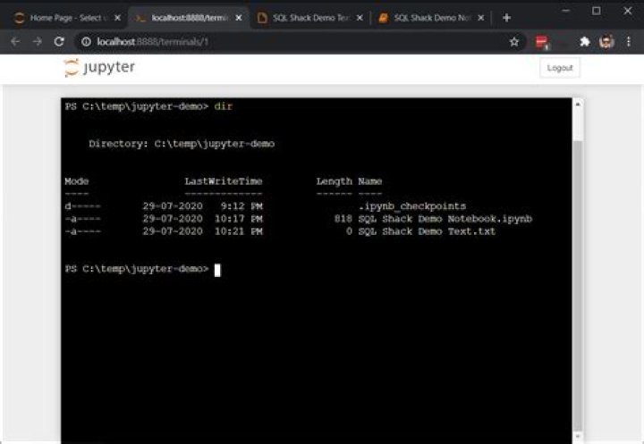 How do I launch jupyter notebook from my terminal?