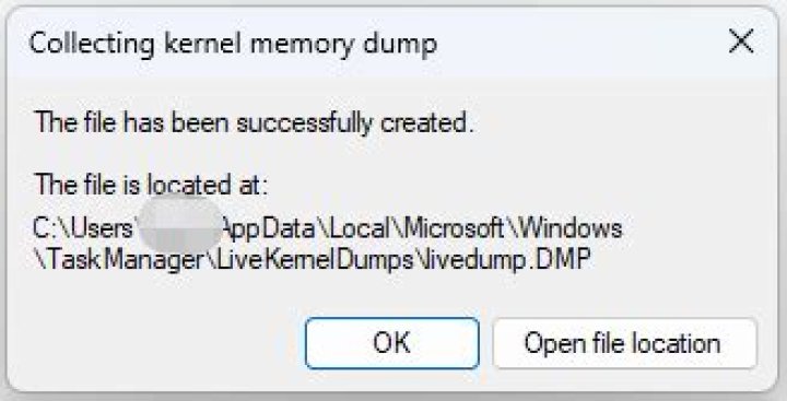 How do I prevent Windows Error Reporting from deleting my live kernel dump file?