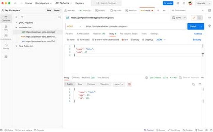 How do I send a JSON string in a POST request in Go