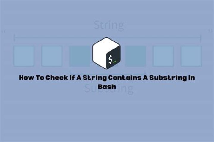 How to check if a string contains a substring in Bash