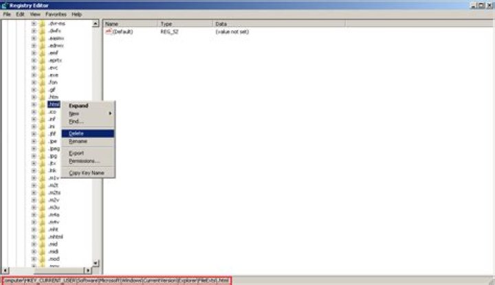 How to delete a file association? [duplicate]