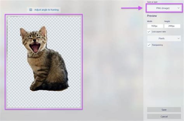 How to make image from screen shot more clear?
