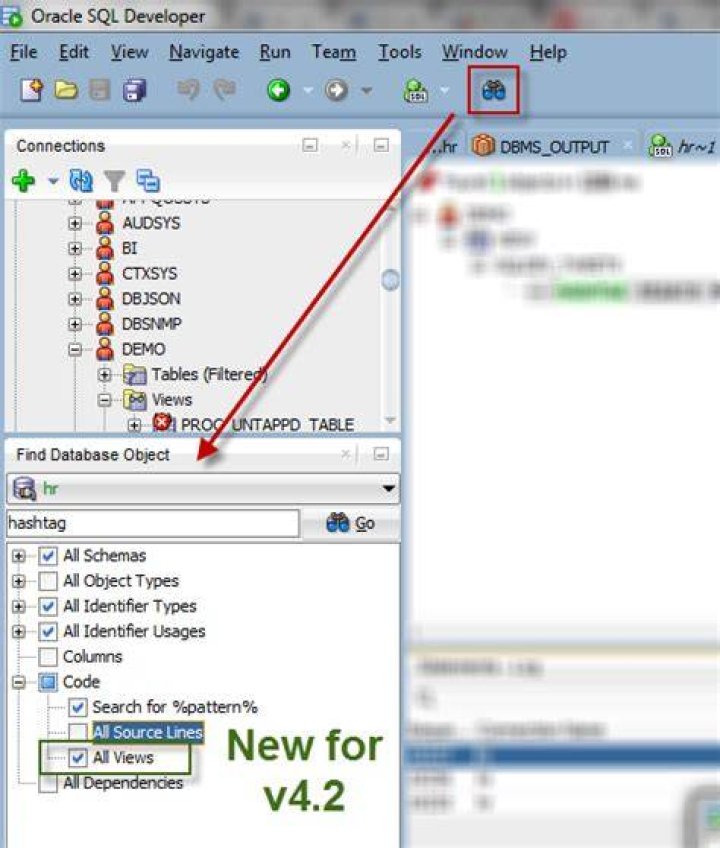 How to Query Database Name in Oracle SQL Developer?