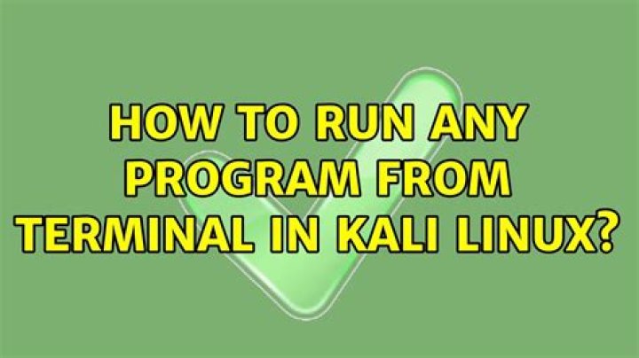 How to run any program from terminal in kali linux?