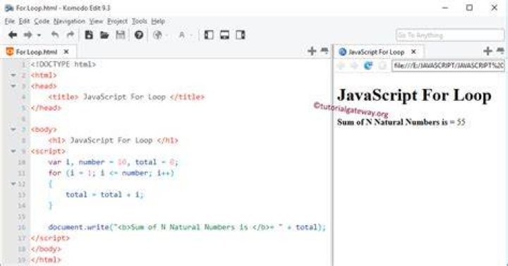 How to stop a JavaScript for loop?