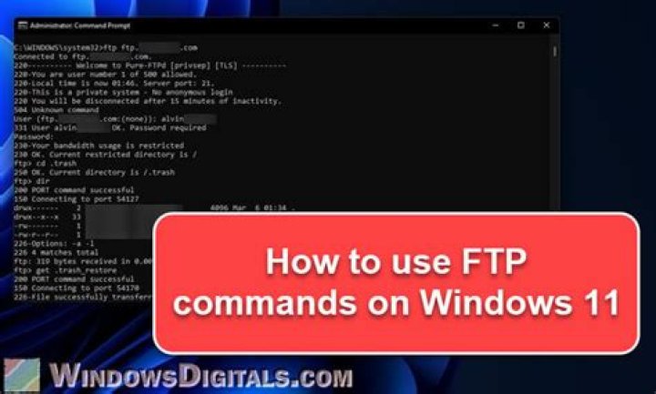 How to upload a file from the command line with FTP or SSH?