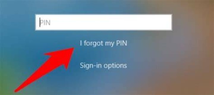 I forgot my PIN