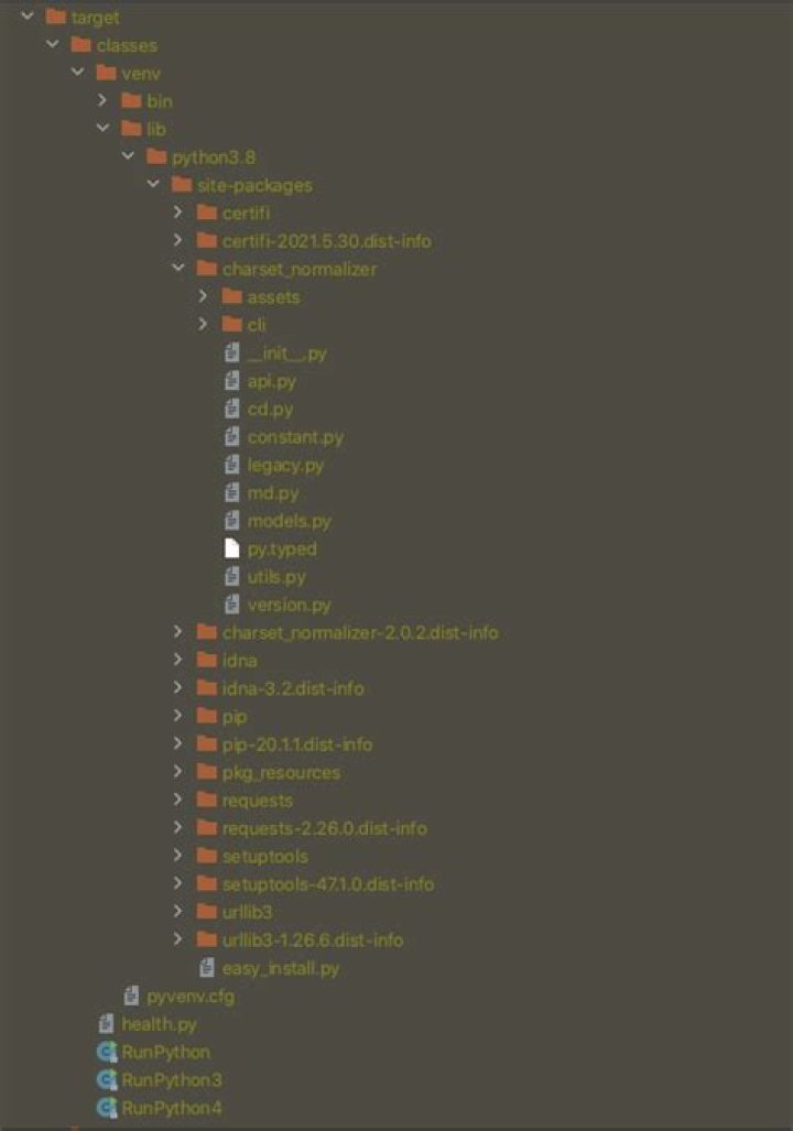 In graalpython what is difference between `ginstall` and `pip`?