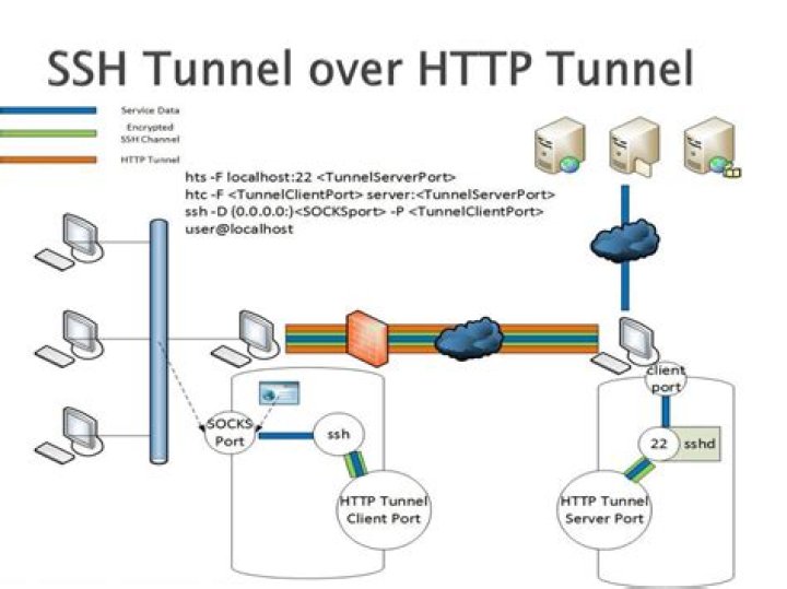 Is it possible to tunnel https traffic via ssh tunnel with standard ssh-programs?