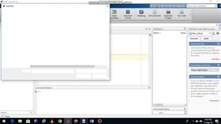 MatLab Mex File Crashing Every Third Run