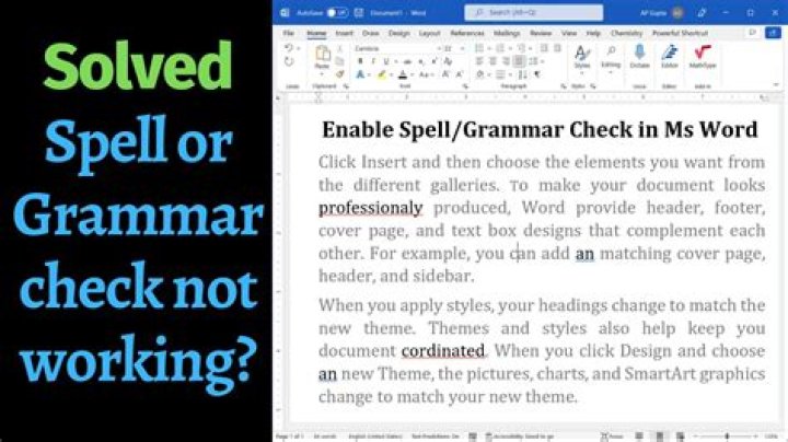 Microsoft Word 2016 Spell Check not working