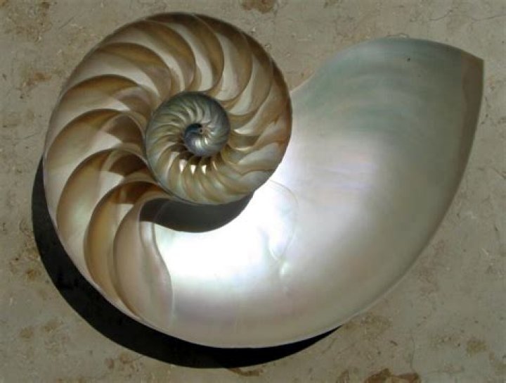 Nautilus showing /usr/share