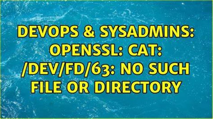 Openssl: cat: /dev/fd/63: No such file or directory