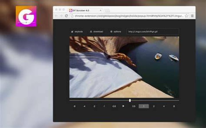 Pausing a .gif animation in Google Chrome