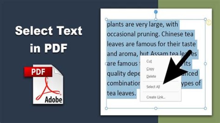 PDF scanned with selectable text