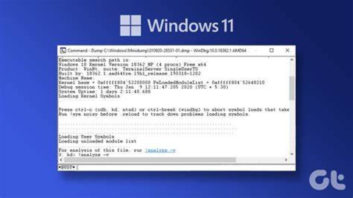 Process keeps creating dump files