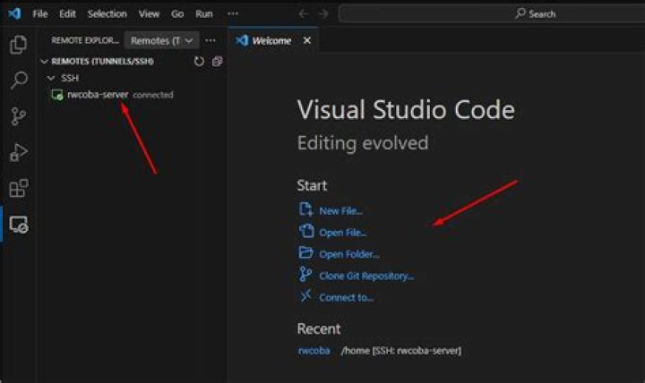 Remote-SSH through Visual Studio Code not working because of permissions through WSL cross referencing