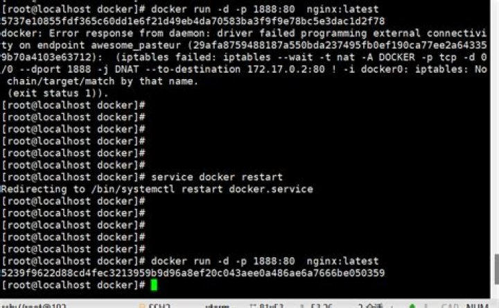 Running docker container : iptables: No chain/target/match by that name