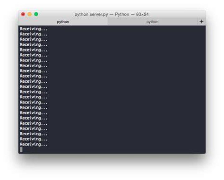 Sending a file over TCP sockets in Python