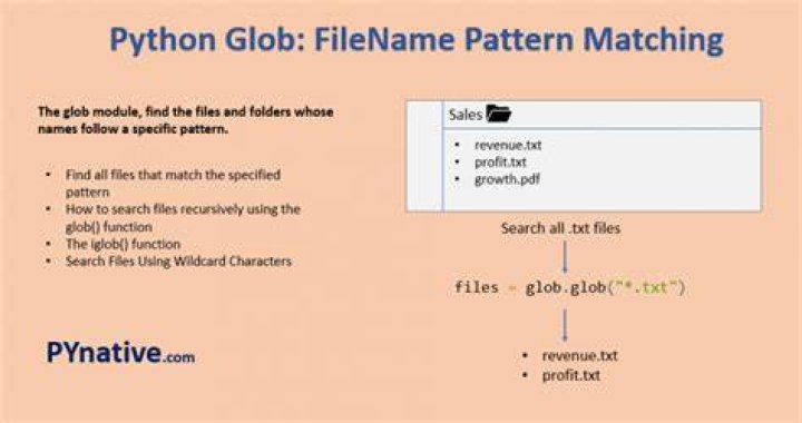 Set a variable to a filename using glob