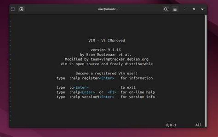 Setting alias to use Macvim in terminal instead of standard Vim