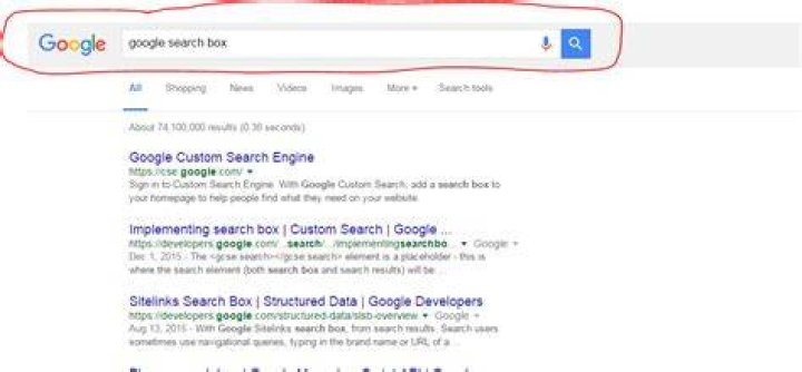 Shortcut for Google search box