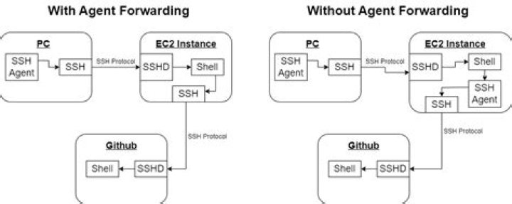 SSH Agent Forwarding not working even when using `ssh -A`
