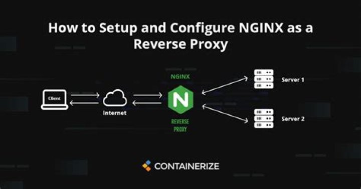 What does the proxy_pass option in the NGINX config do?