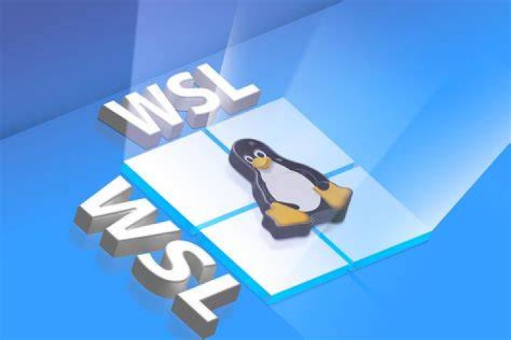 WSL bash startup.gif